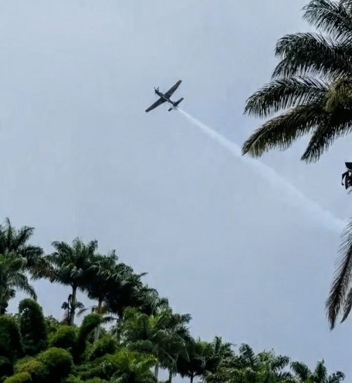 Espetáculo nas Alturas: Esquadrilha da Fumaça Colore o Céu de Guaramiranga neste Domingo