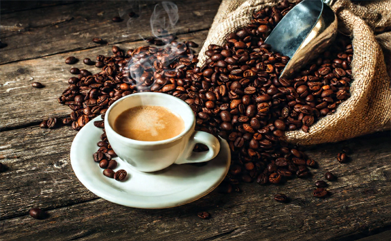 O Ouro Negro de Guaramiranga: A Renascença do Café Orgânico e Sombreado. 